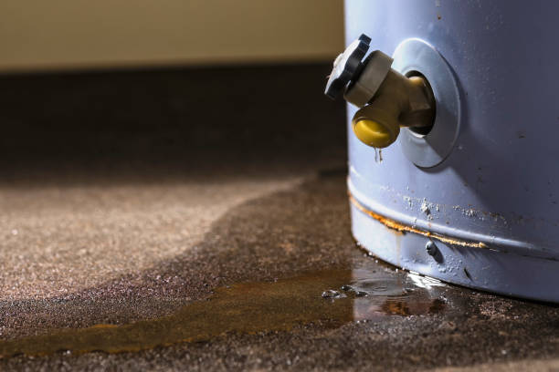 Best Carpet water damage restoration  in Cottage Grove, OR