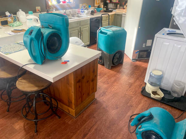 Best Fire Damage Restoration  in Cottage Grove, OR