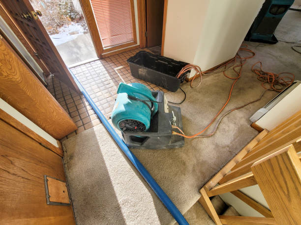 Best Professional water damage repair  in Cottage Grove, OR