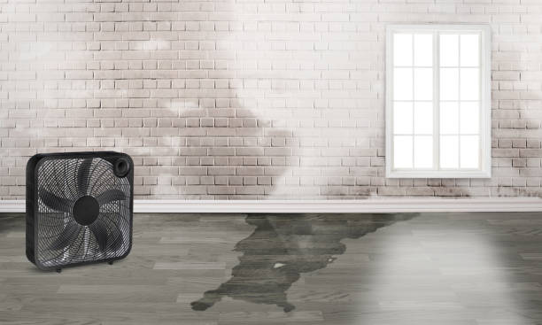 Best Emergency water damage restoration  in Cottage Grove, OR